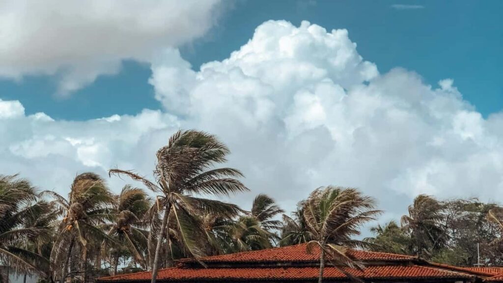 Guía para creadores mexicanos interesados en aplicar a takeover de influencers en Kuaishou desde Georgia. Tendencias y tips prácticos.