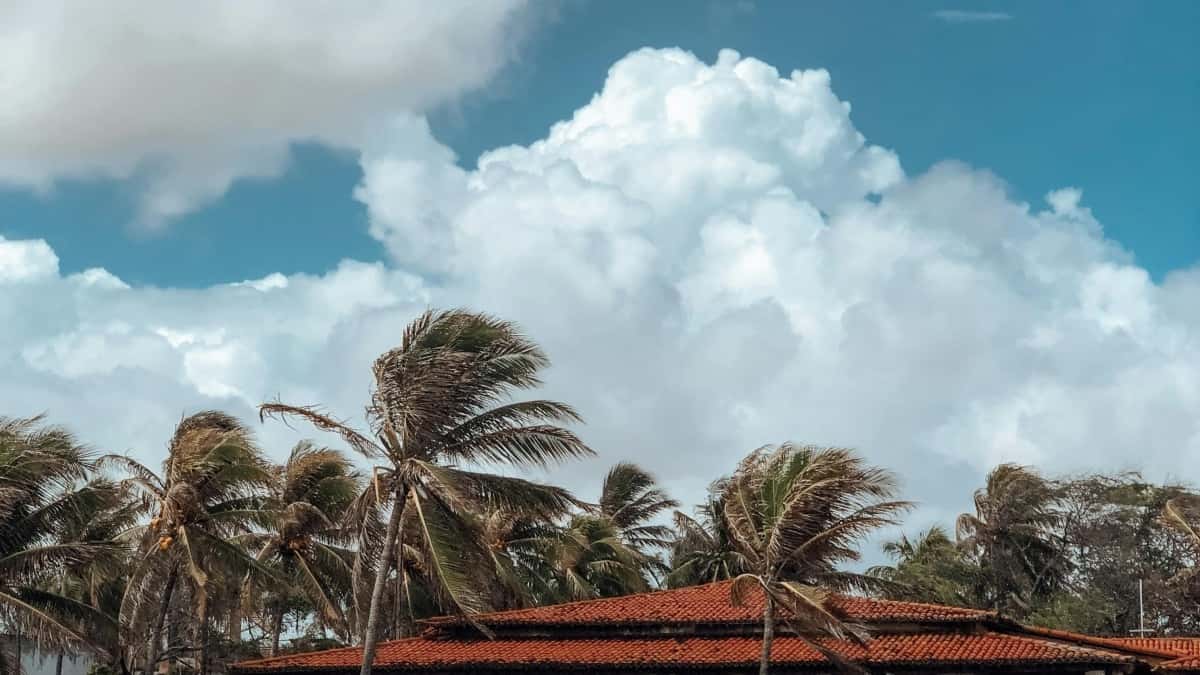 Creadores Mexicanos y el takeover de influencers en Kuaishou: ¿cómo aplicar desde Georgia?