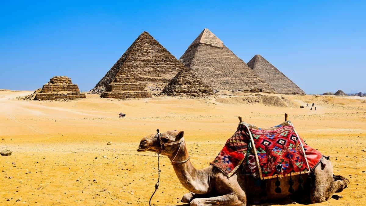 Creadores en México: Cómo conectar con marcas de Dinamarca en KakaoTalk usando herramientas patrocinadas