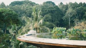 Guia practica para anunciantes en Mexico: como localizar y activar creadores en Shopee Tailandia para impulsar lanzamientos de belleza. Tacticas, canales y ejemplos reales.