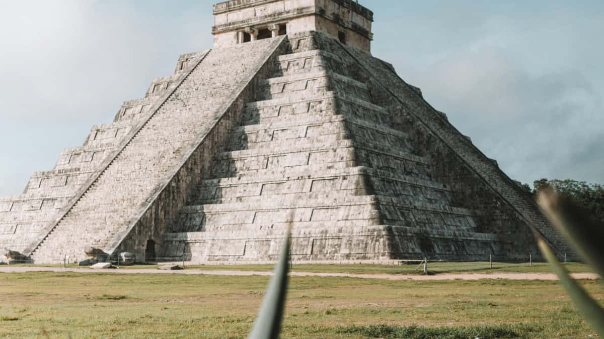 Marketers MX: encontrar creadores Chingari en Polonia ya