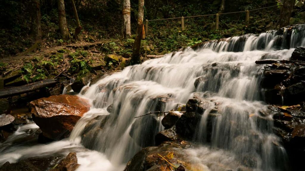Guia practica para anunciantes en Mexico sobre como identificar y contratar creadores relacionados con Lazada y marketplaces para promocionar cursos online, con tacticas, riesgos y recursos.
