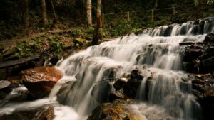 Guia practica para anunciantes en Mexico sobre como identificar y contratar creadores relacionados con Lazada y marketplaces para promocionar cursos online, con tacticas, riesgos y recursos.