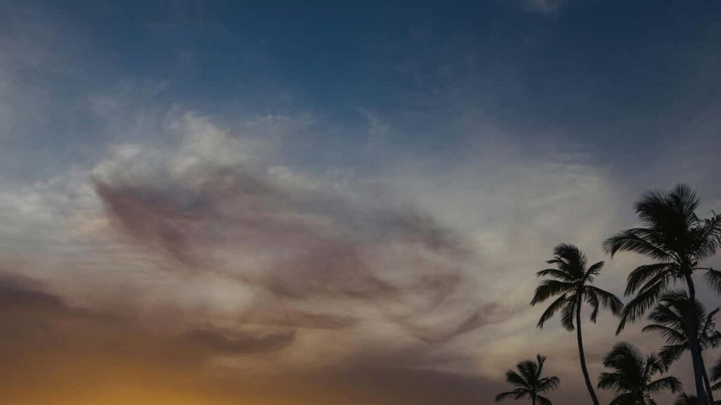 Guia practica para anunciantes en Mexico: como localizar y activar creators de Shopee en Nueva Zelanda para dirigir trafico a tu landing page.