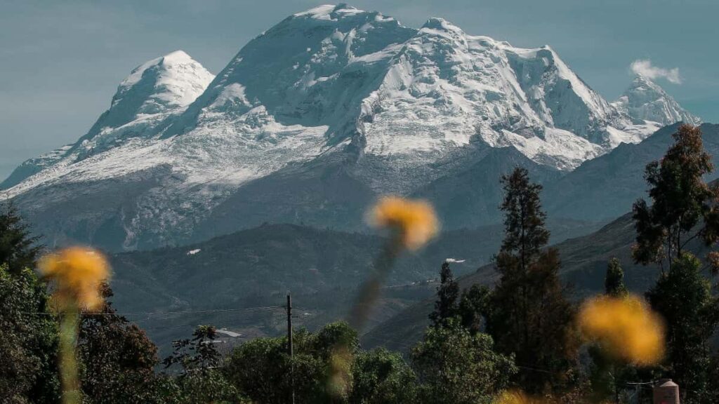Guia practica para anunciantes en Mexico: como encontrar y activar creadores de Josh en Emiratos Arabes Unidos para lanzamientos de belleza, con herramientas y pasos accionables.