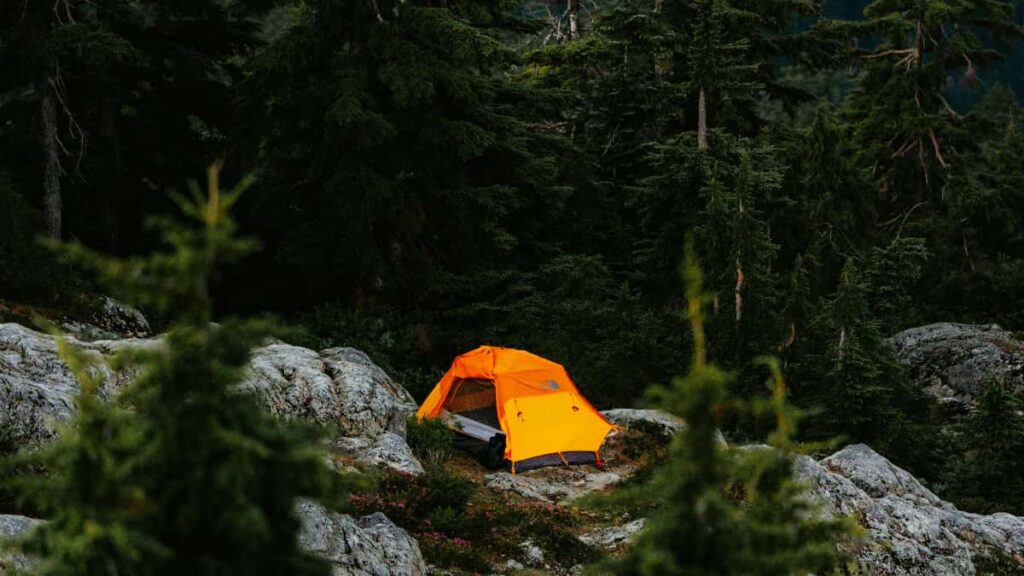 Guia practica para anunciantes en Mexico: como identificar y activar creadores venezolanos en Twitch para product seeding dirigido a beauty bloggers.