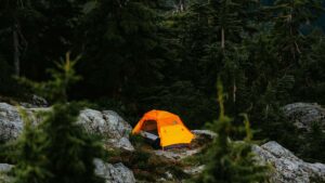 Guia practica para anunciantes en Mexico: como identificar y activar creadores venezolanos en Twitch para product seeding dirigido a beauty bloggers.