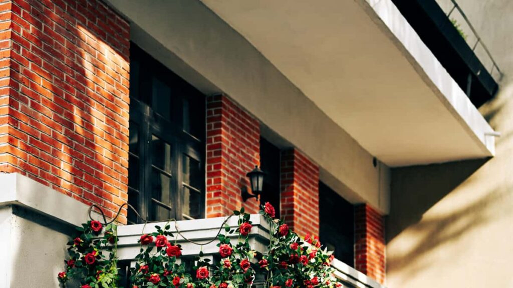 Guia practica para creadores en Mexico sobre como localizar y contactar marcas estonias en Taobao, organizar giveaways efectivos y evitar fricciones logisticas en 2026.