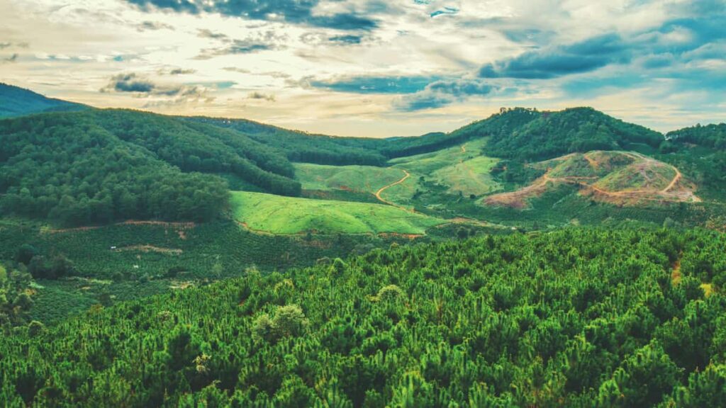 Guia practica para creators en Mexico que quieren conectar con marcas de Costa de Marfil en Apple Music y entrar a lanzamientos beta exclusivos.