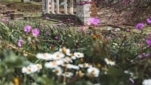 Guia practica para creadores en Mexico sobre como localizar y contactar marcas de Iraq via Zalo, montar propuestas de guias de viaje y minimizar riesgos de fraude.