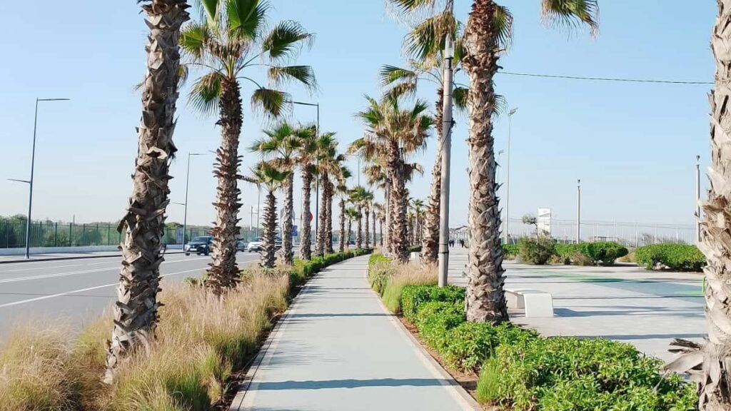 Guia practica para marcas en Mexico sobre como localizar y colaborar con creadores de Lazada en Kazajistan para aumentar visibilidad y ventas.