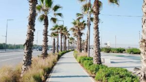 Guia practica para marcas en Mexico sobre como localizar y colaborar con creadores de Lazada en Kazajistan para aumentar visibilidad y ventas.