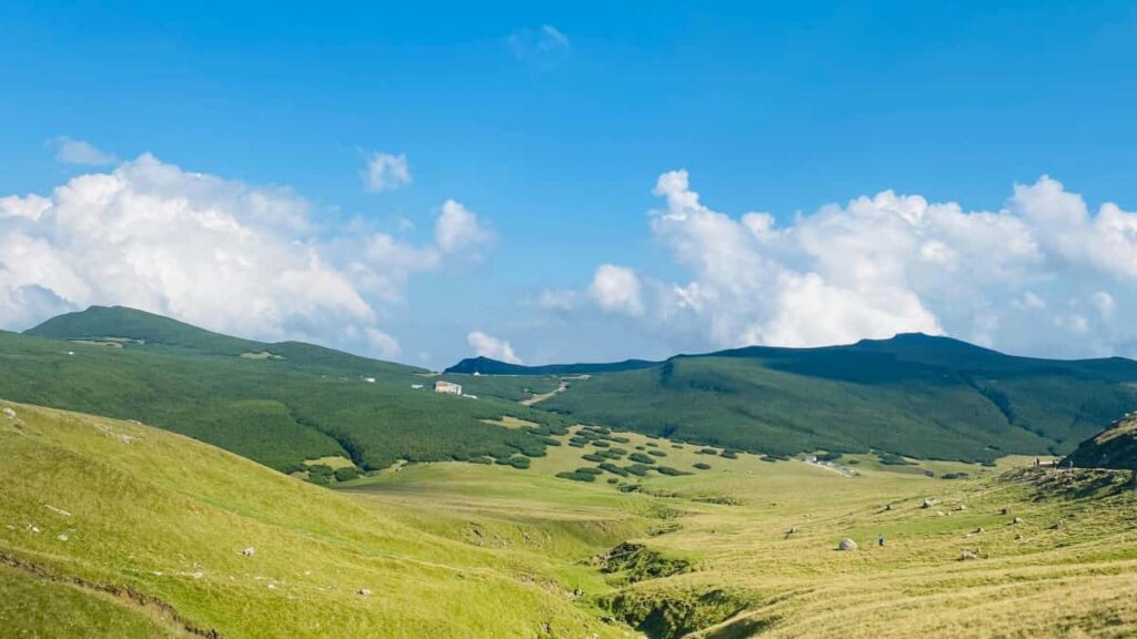 Guia practica para creadores en Mexico: pasos, mensajes, y tacticas para acercarte a marcas de Qatar en Clubhouse y proponer streaming patrocinado de partidos.