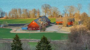 Guia practica para anunciantes en Mexico: donde localizar, evaluar y contratar creadores etiopes en Josh para campanas UGC, con tacticas, riesgos y recursos utiles.