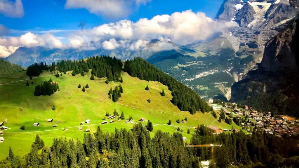 Guia practica para anunciantes en Mexico: como identificar, evaluar y contratar creadores 'Jordan Line' para impulsar lineas de skincare con resultados medibles.