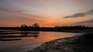 Guia practica para anunciantes en Mexico: como identificar, evaluar y lanzar campanas de giveaway con creadores de Panama en Threads.